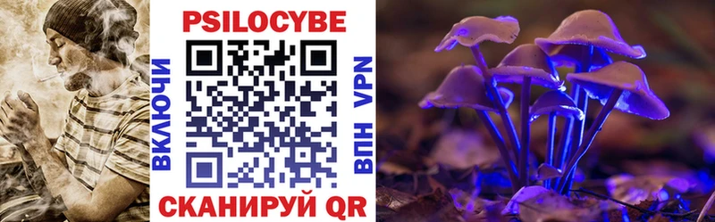 ссылка на мегу маркетплейс  Асино  Галлюциногенные грибы Psilocybe 