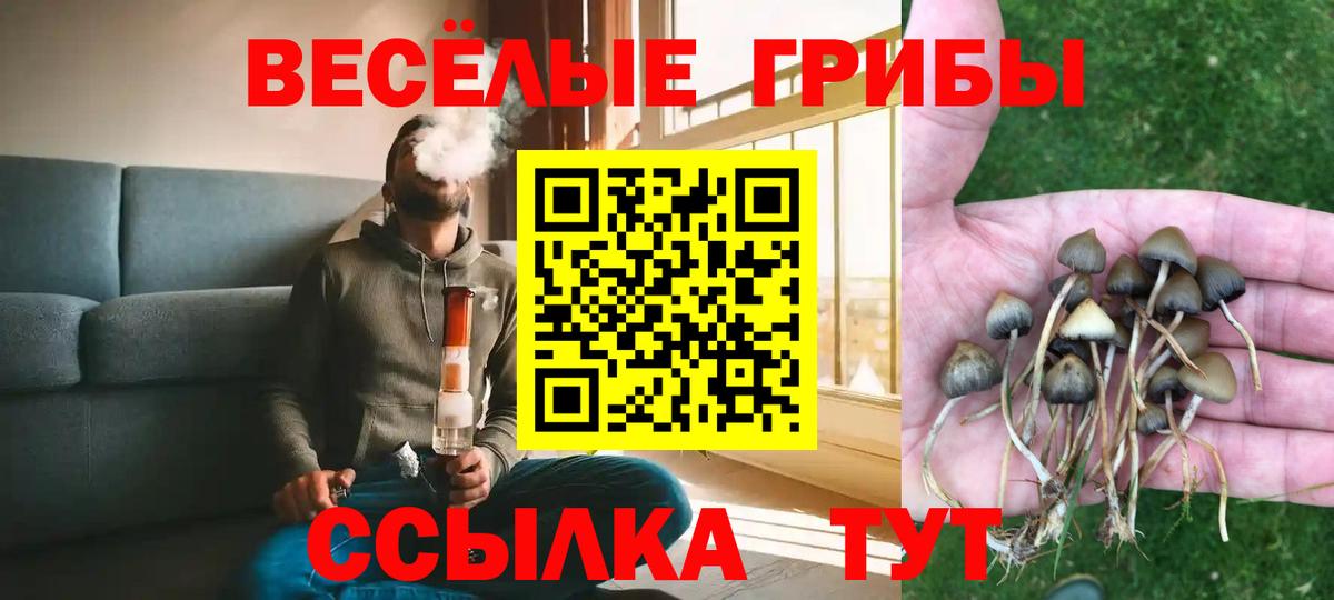 Галлюциногенные грибы Cubensis  Вход с VPN  Асино  Псилоцибиновые грибы Psilocybine cubensis 