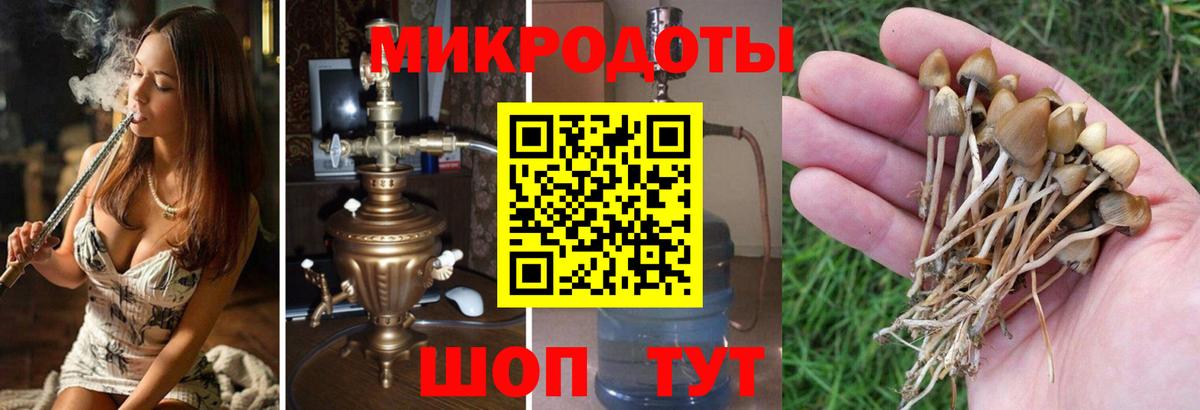 Псилоцибиновые грибы MAGIC MUSHROOMS Асино